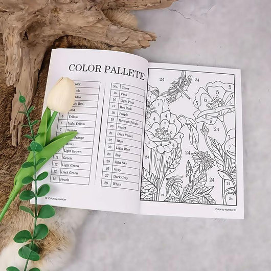 Color By Number For Adults